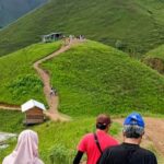 Pesona Bukit Holbung