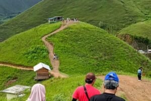 Pesona Bukit Holbung