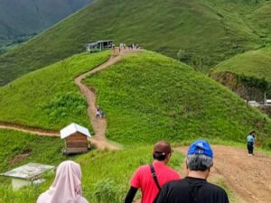 Pesona Bukit Holbung